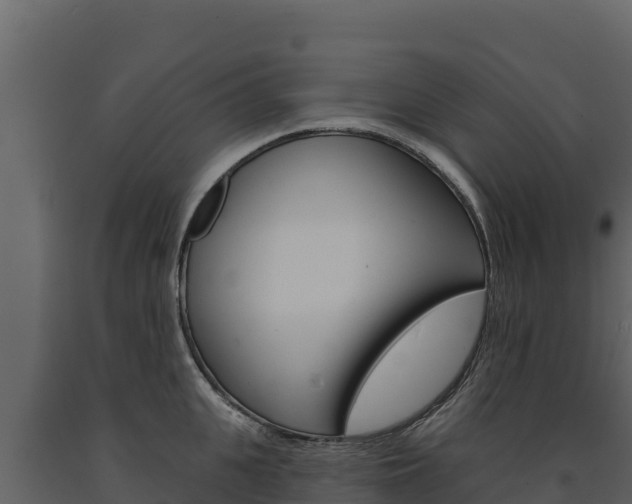 X0000091720951200708241017