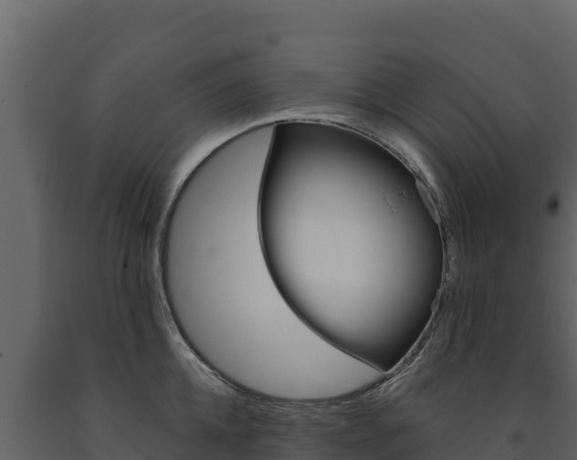 X0000091720952200708241017