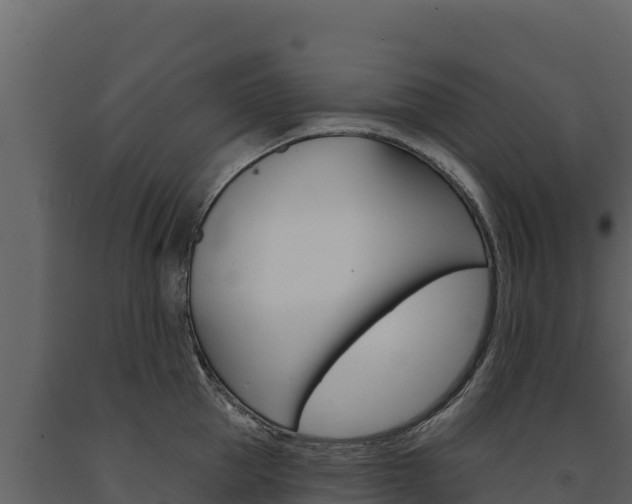 X0000091720953200708241017