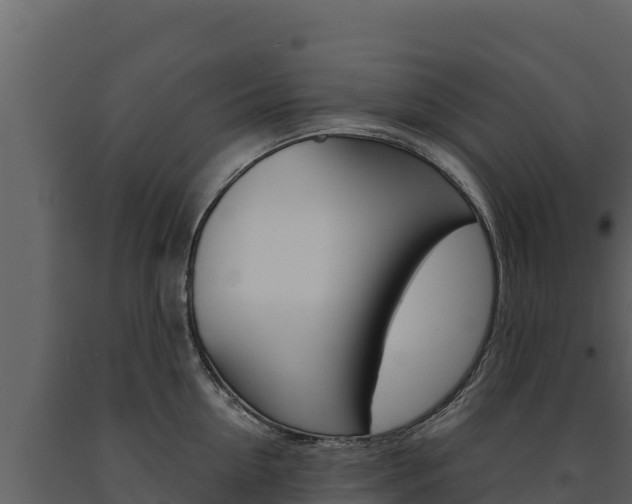 X0000091720954200708241017
