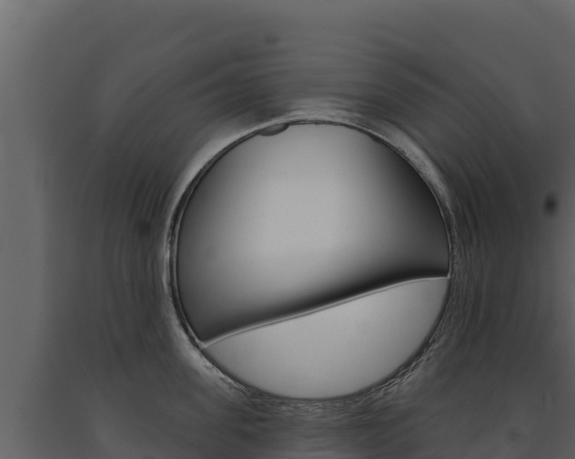 X0000091720955200708241017