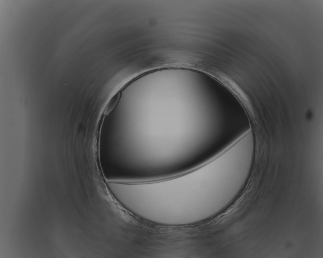 X0000091720956200708241017