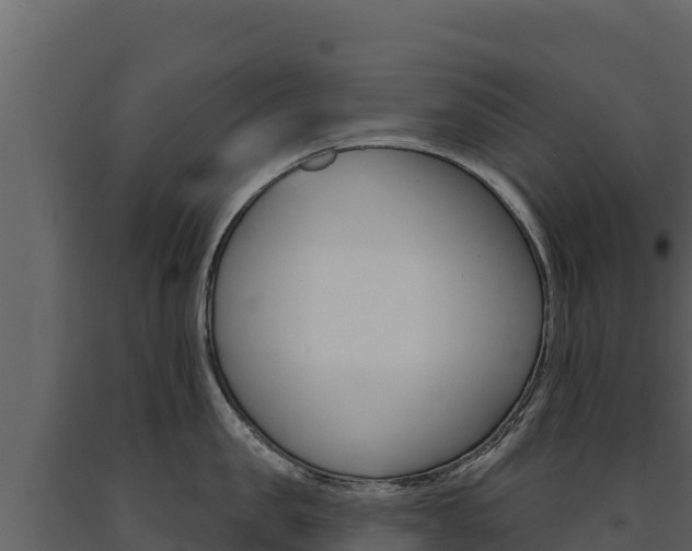 X0000091720957200708241017