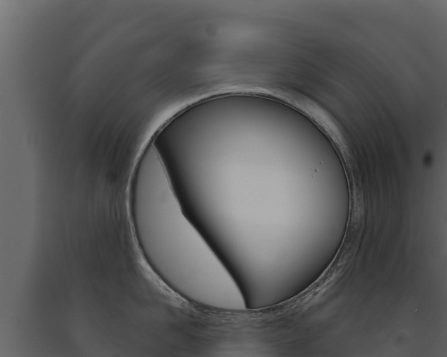 X0000091720958200708241017