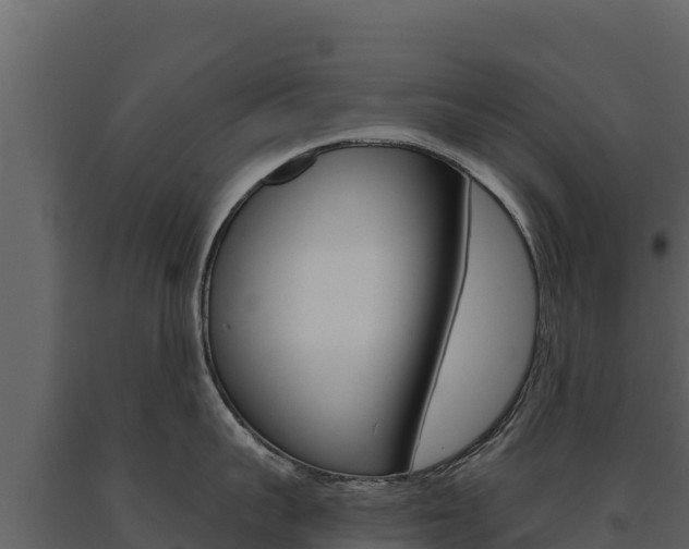 X0000091720959200708241017