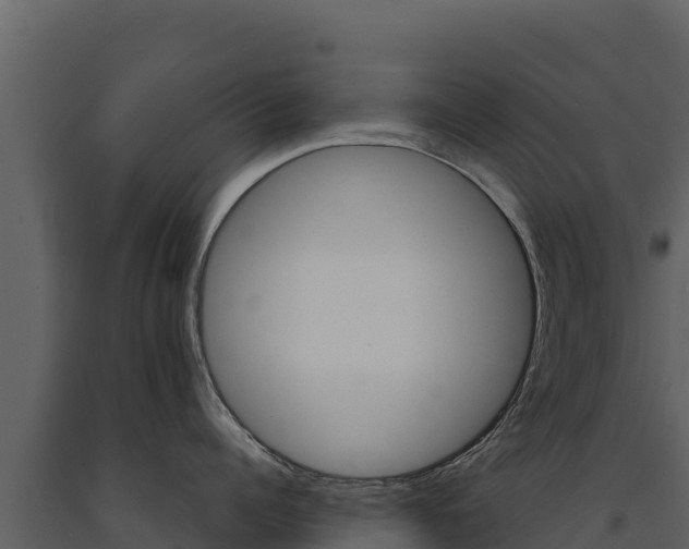 X0000091720960200708241017