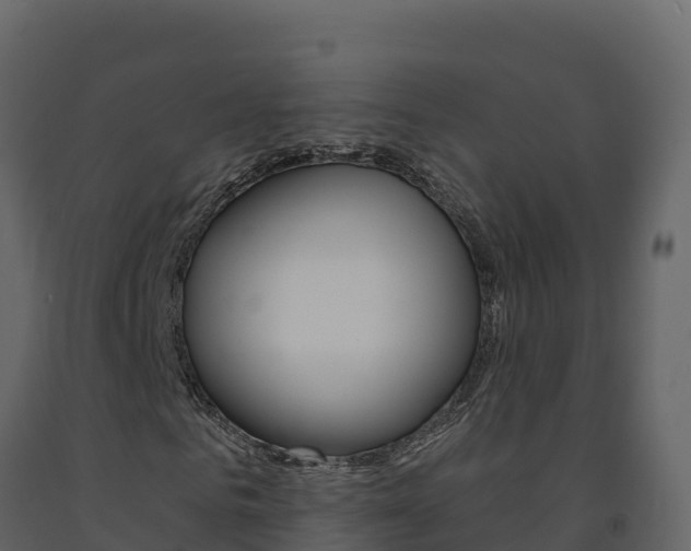 X0000091720961200708241016