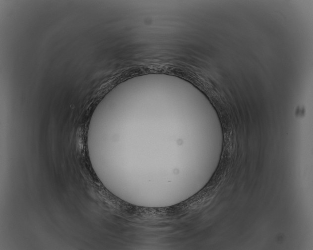 X0000091720962200708241016