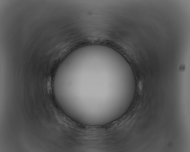 X0000091720963200708241016
