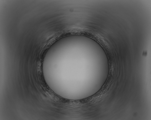 X0000091720964200708241016