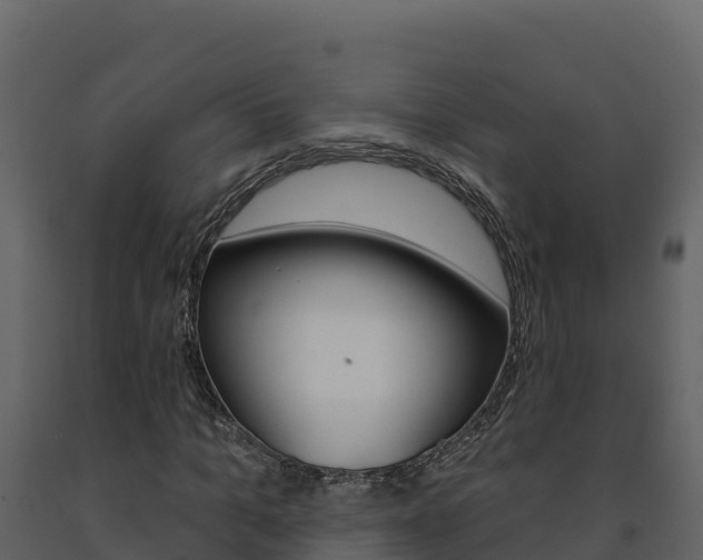 X0000091720965200708241016
