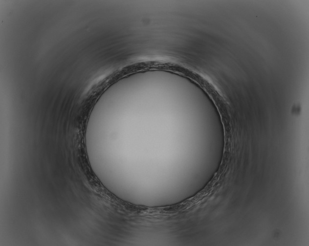 X0000091720967200708241016