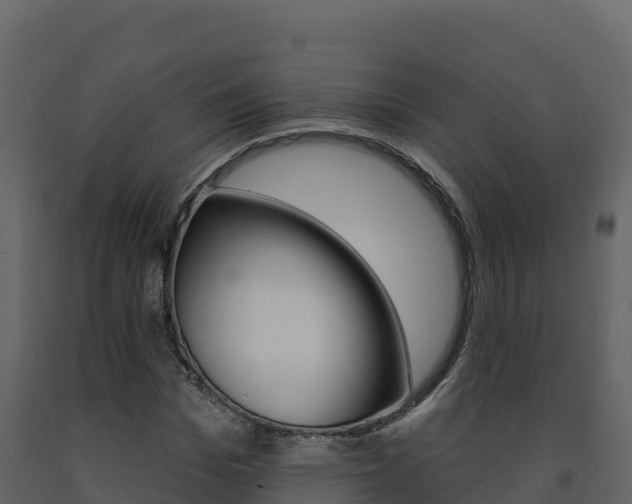 X0000091720969200708241016