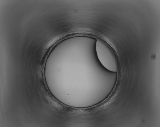 X0000091720970200708241016