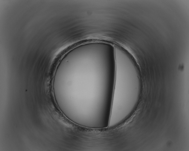 X0000091720971200708241016