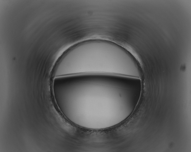 X0000091720972200708241016
