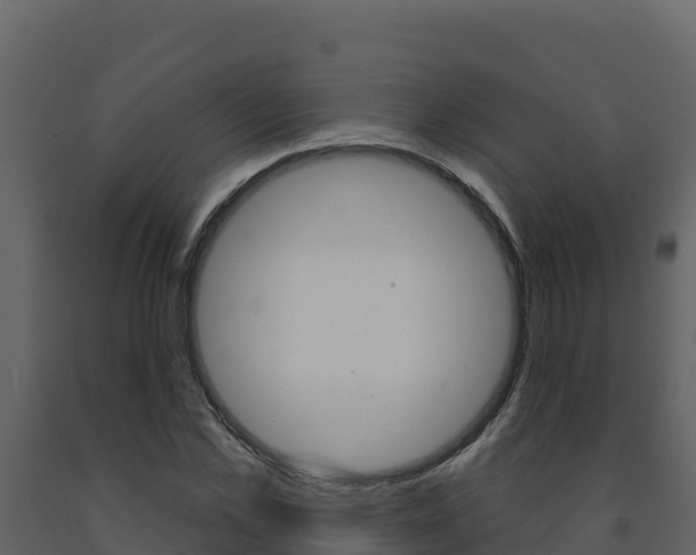 X0000091720973200708241016