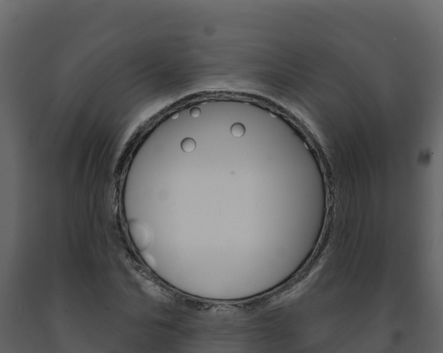 X0000091720974200708241016