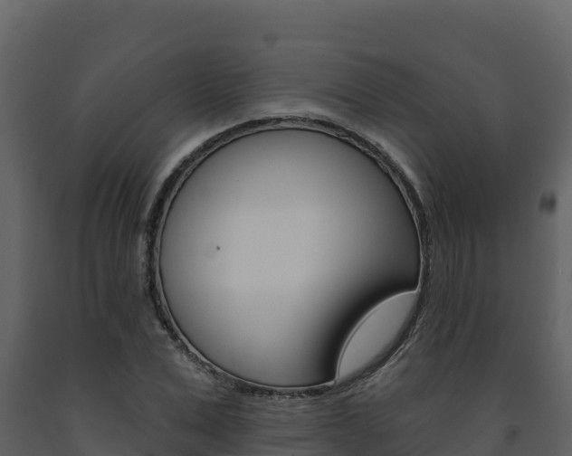 X0000091720975200708241016