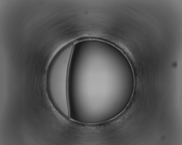 X0000091720976200708241016