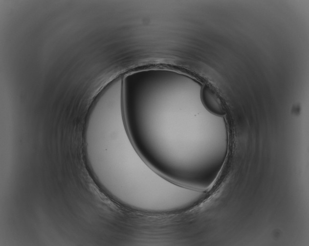 X0000091720977200708241016