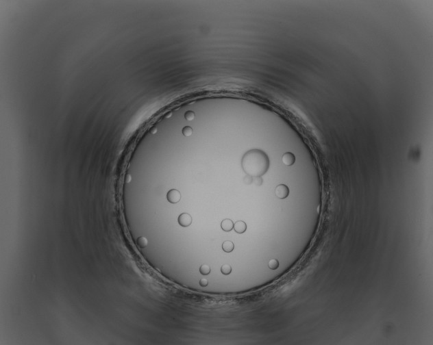 X0000091720978200708241016