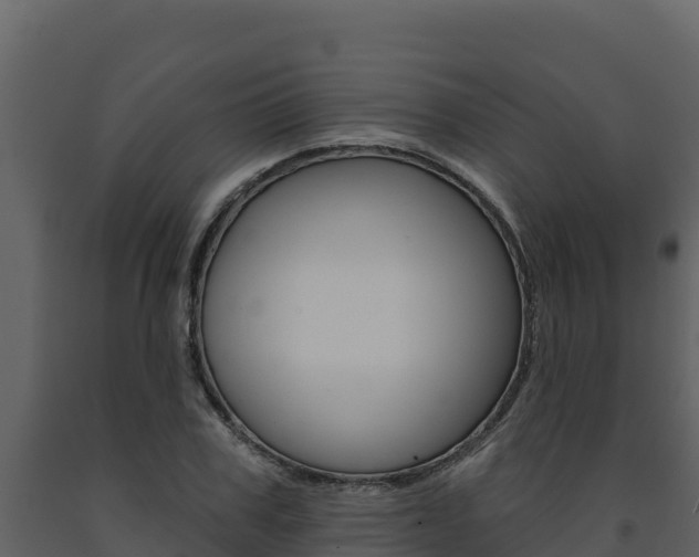X0000091720979200708241016