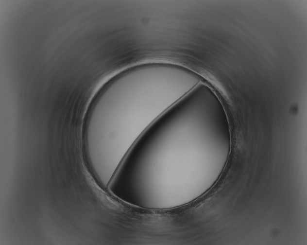 X0000091720980200708241016