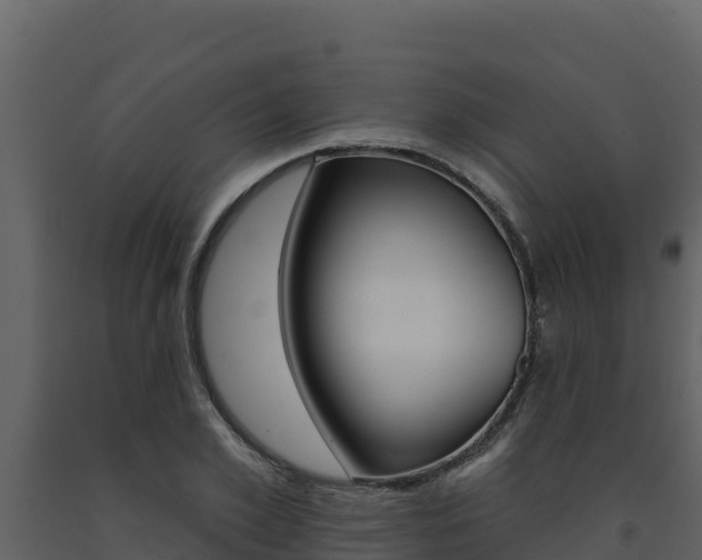 X0000091720981200708241016