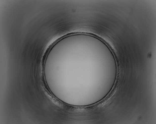 X0000091720982200708241016