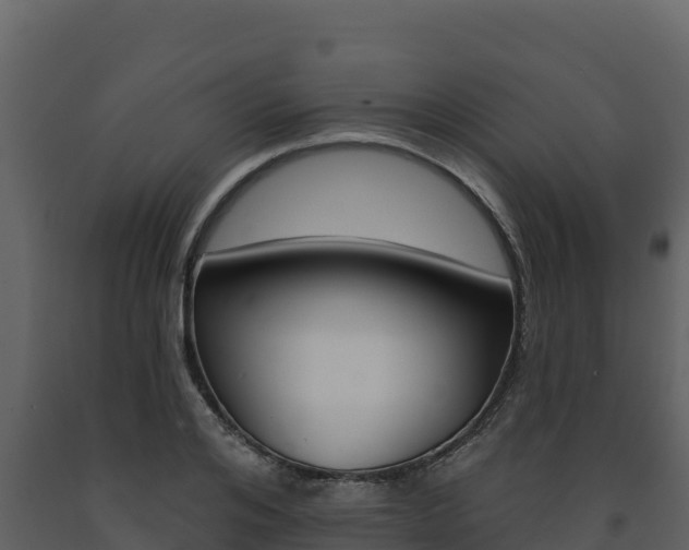 X0000091720984200708241016