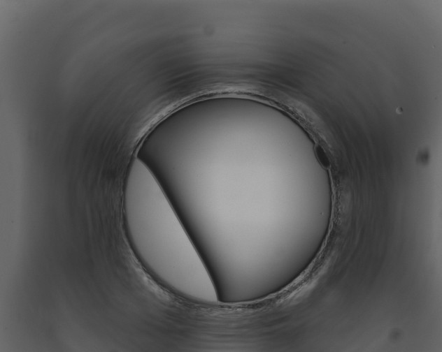 X0000091720985200708241016