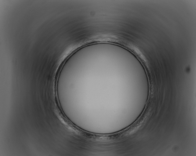 X0000091720986200708241016