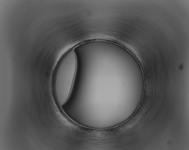 X0000091720987200708241016