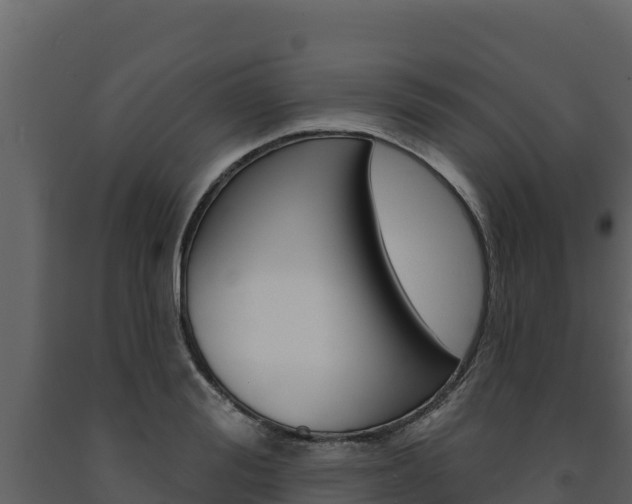 X0000091720988200708241016