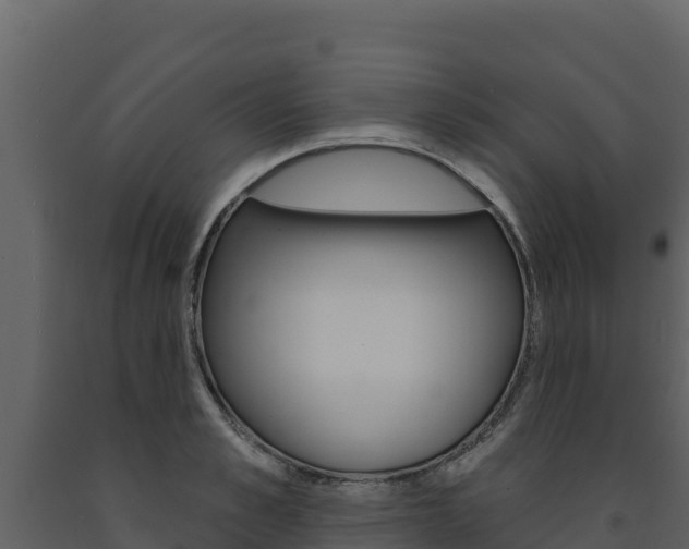 X0000091720989200708241016