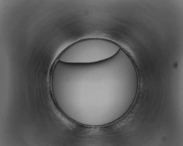 X0000091720990200708241016