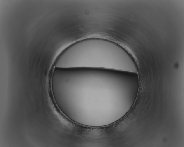 X0000091720991200708241016