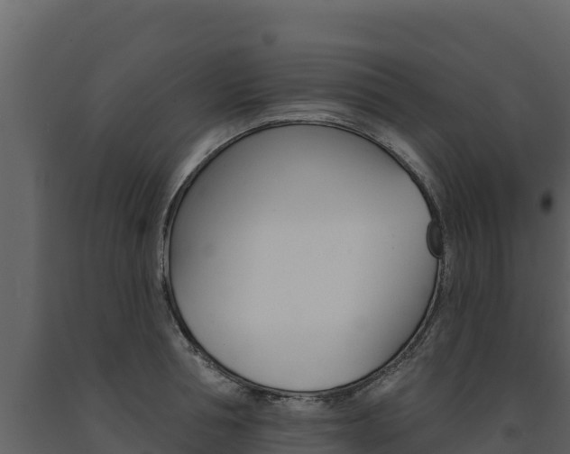 X0000091720994200708241015
