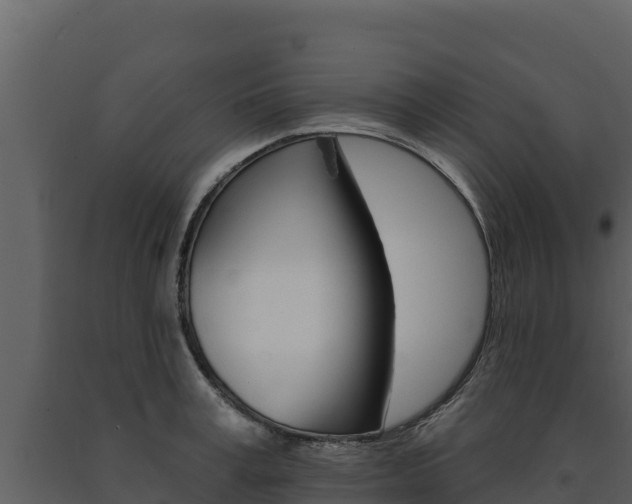 X0000091720995200708241015