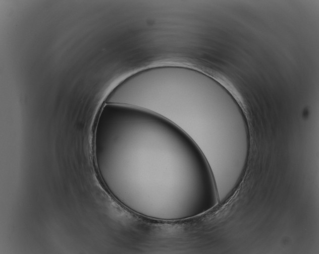 X0000091720996200708241015