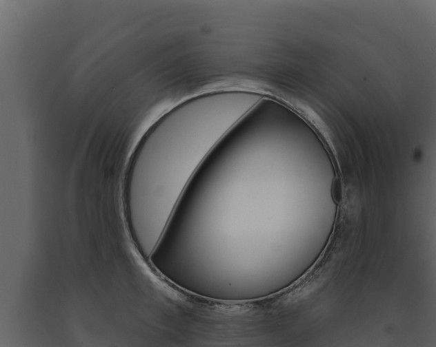 X0000091720997200708241015