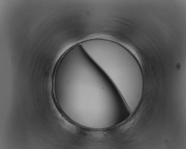 X0000091720999200708241015
