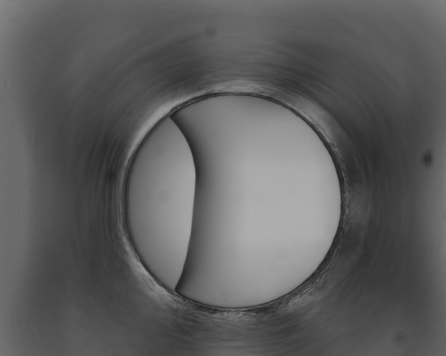X0000091721000200708241015