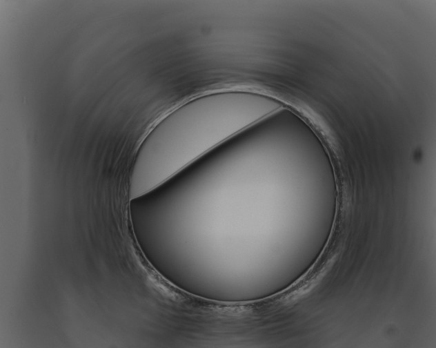 X0000091721001200708241015