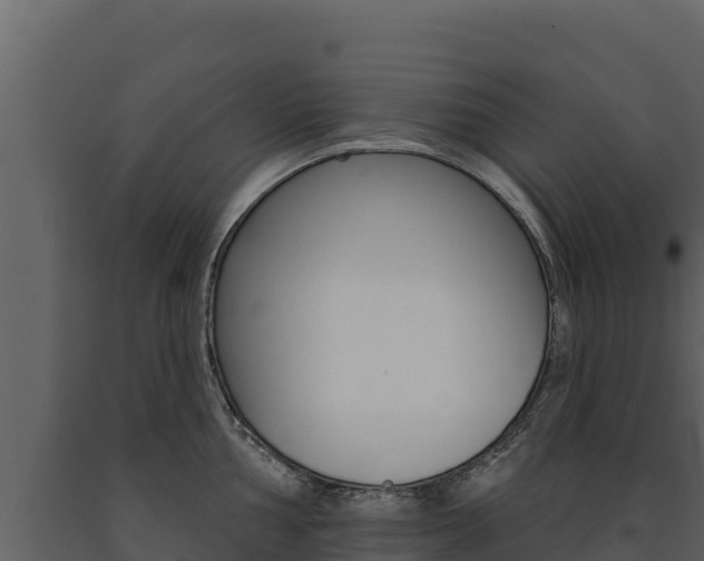 X0000091721002200708241015