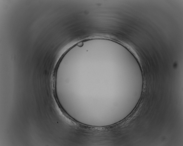 X0000091721003200708241015