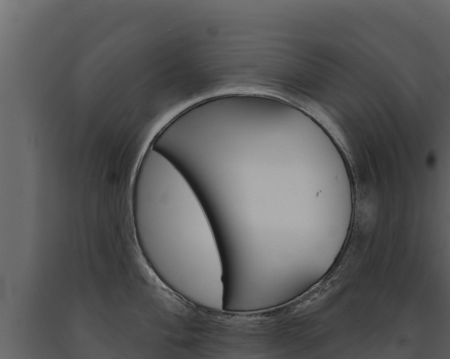 X0000091721004200708241015