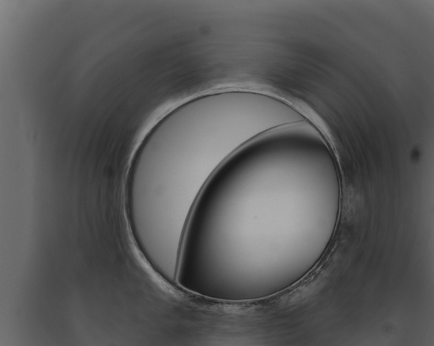 X0000091721005200708241015