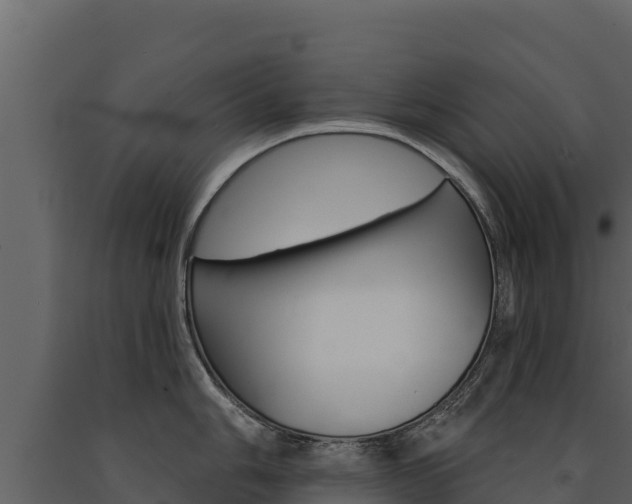 X0000091721006200708241015